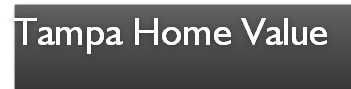 Tampa Home Value
